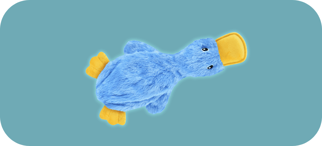 Crinkle Toys Your Dog Will Love