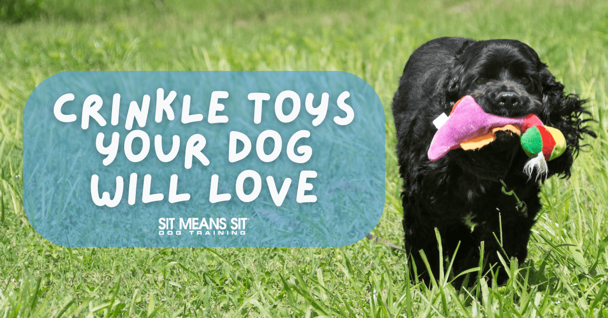 Crinkle Toys Your Dog Will Love