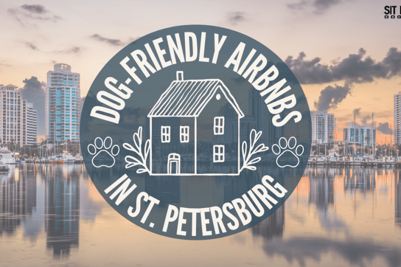 Dog-Friendly Airbnbs in St. Petersburg