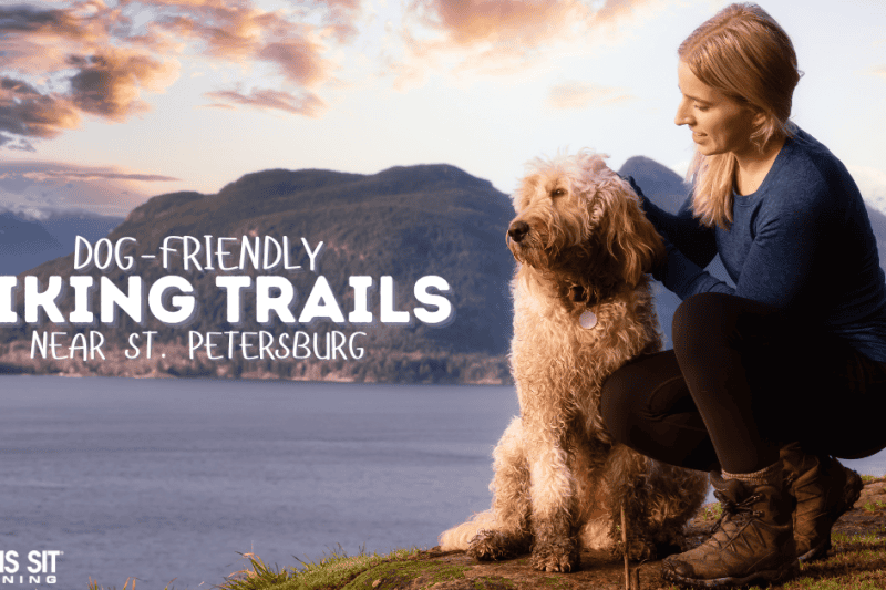 Dog-Friendly Hiking Trails Near St. Petersburg, FL