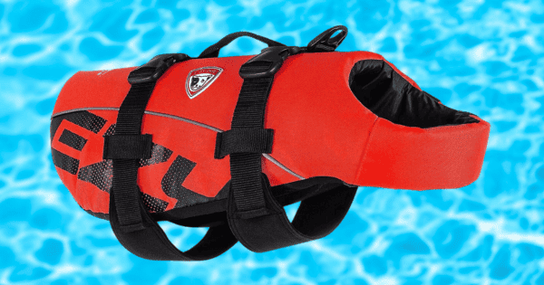 EzDog Doggy Flotation Device Life Jacket