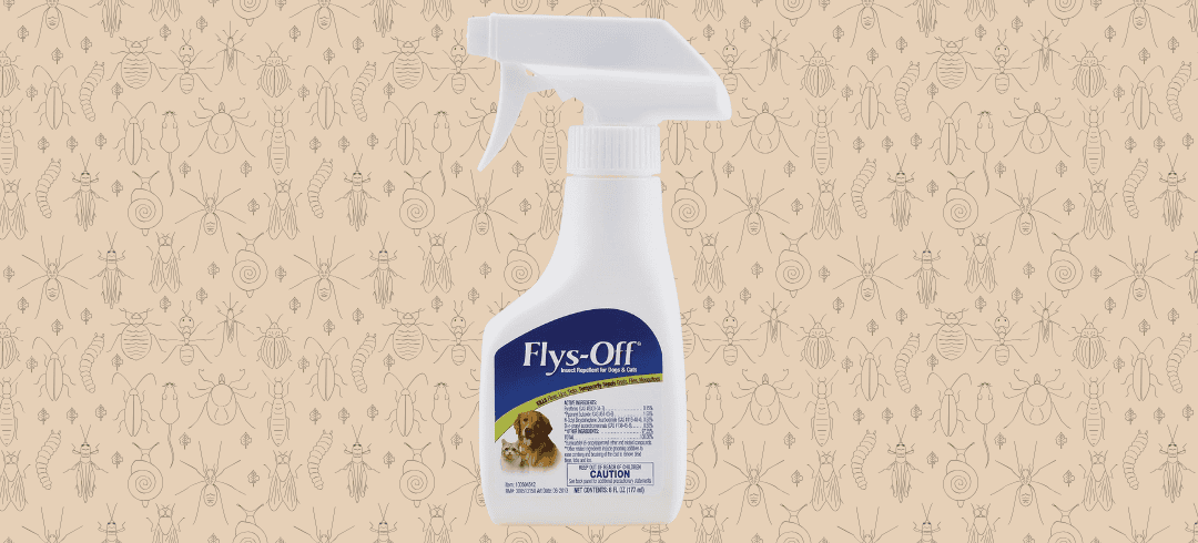 Top Bug Sprays That Are Safe for Dogs