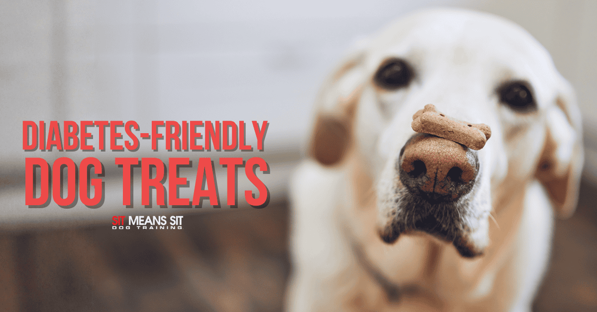 Great Treats for Dogs with Diabetes