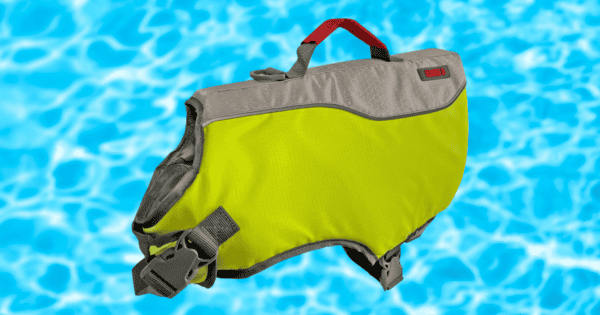 KONG Sport AquaFloat Dog Flotation Vest