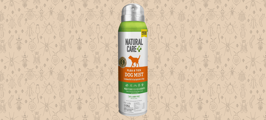 Top Bug Sprays That Are Safe for Dogs