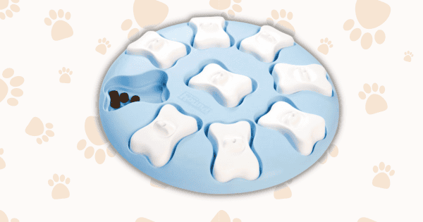 Choosing the Perfect Toys for Your Puppy