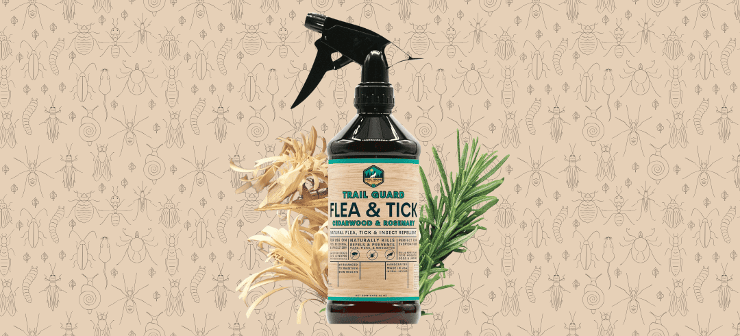 Top Bug Sprays That Are Safe for Dogs