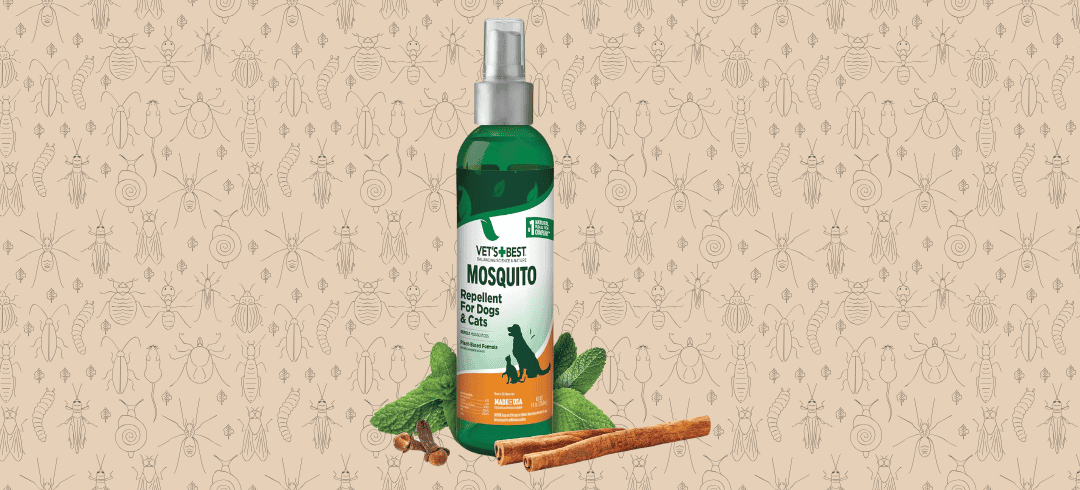 Top Bug Sprays That Are Safe for Dogs